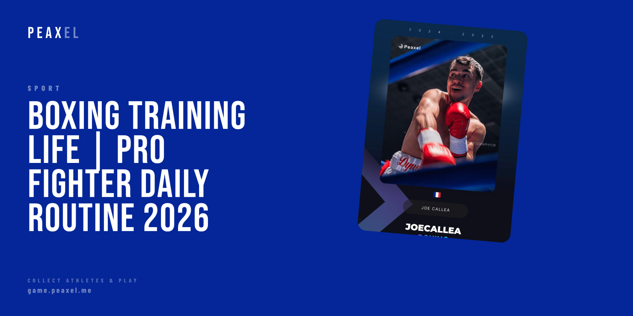 Boxing Training Life: Inside the Daily Grind of Professional Fighters | Peaxel