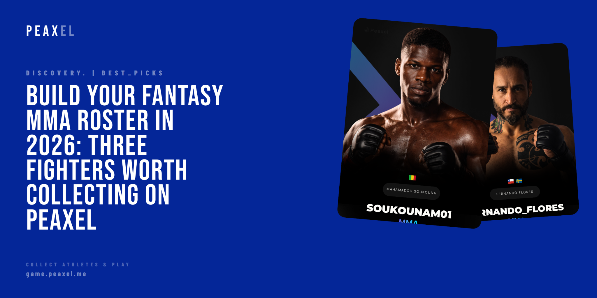 Build Your Fantasy MMA Roster in 2026: Three Fighters Worth Collecting on Peaxel | Peaxel