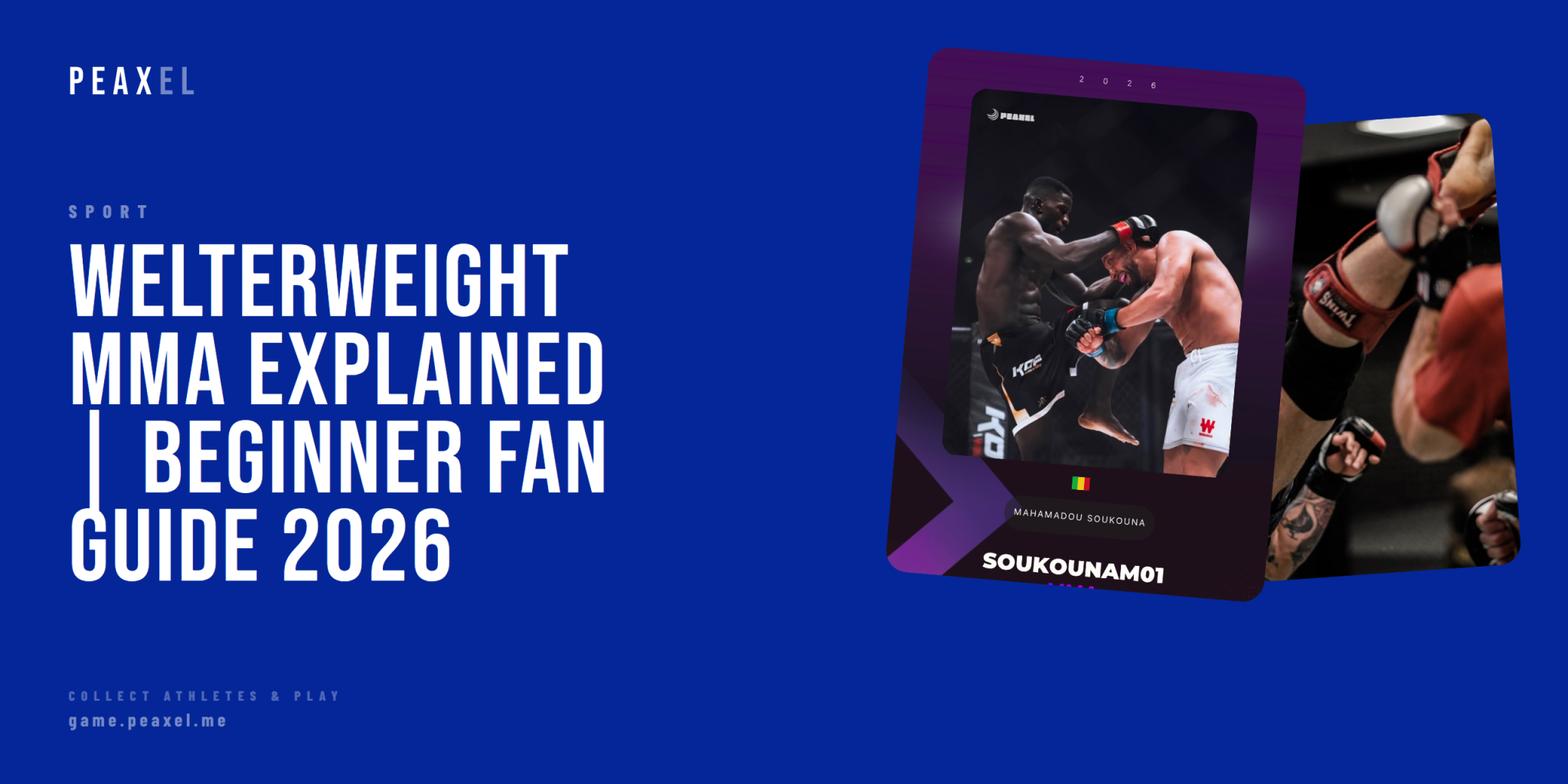 Welterweight MMA Explained: A Beginner's Guide to the 170-Pound Division | Peaxel