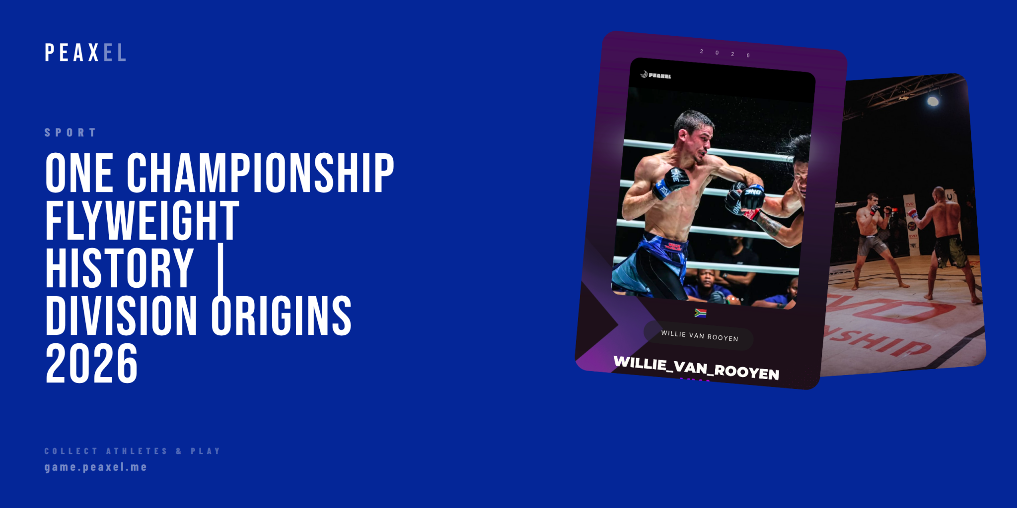 ONE Championship Flyweight Division: History, Champions & Legacy | Peaxel