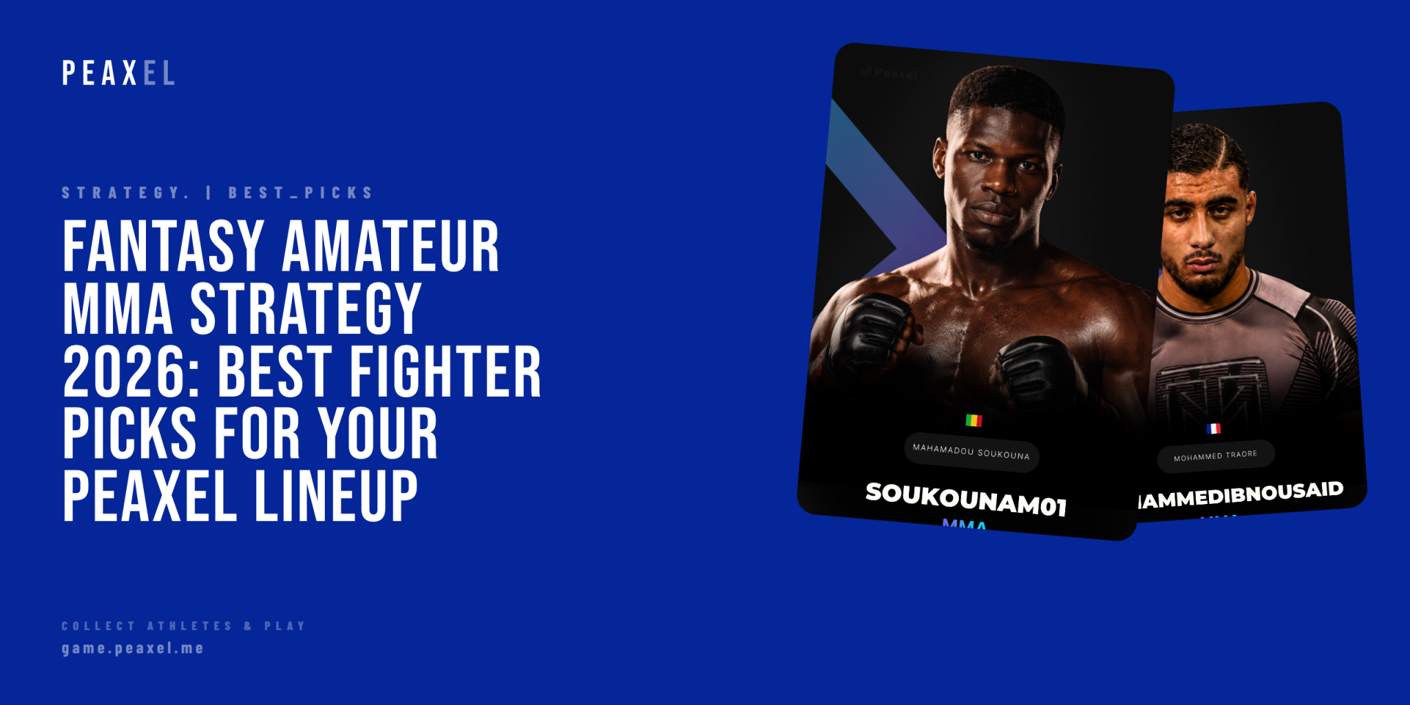 Fantasy Amateur MMA Strategy 2026: Best Fighter Picks for Your Peaxel Lineup | Peaxel