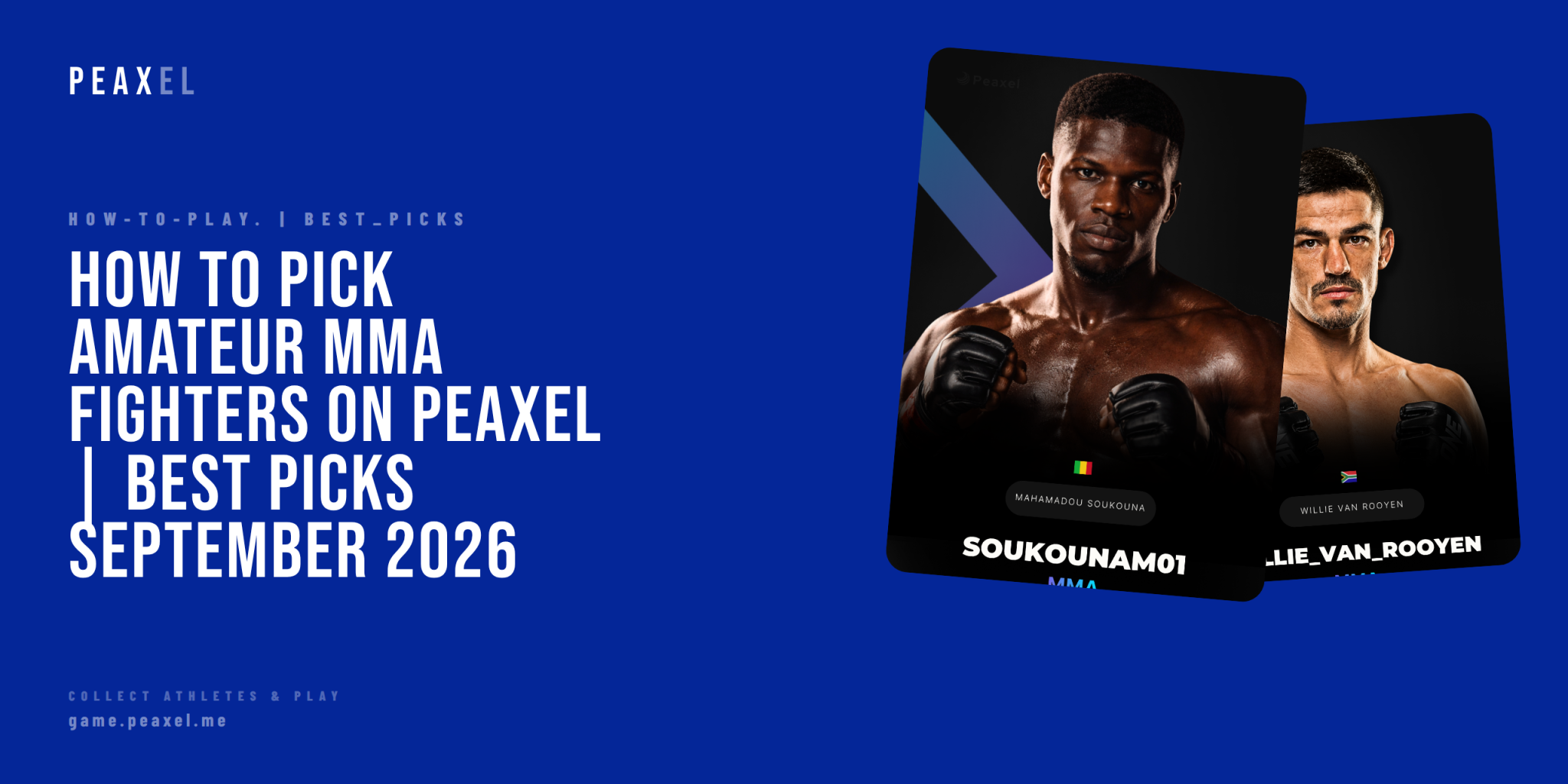 How to Pick Amateur MMA Fighters on Peaxel | Best Picks September 2026 | Peaxel